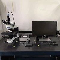 �坍���w���z�y�x